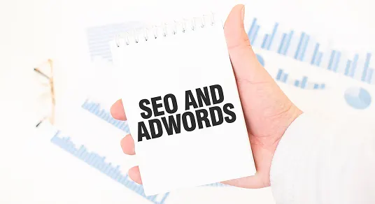 LunaWear Fashion — on-page overhaul drives +290% organic traffic